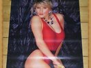 SAMANTHA FOX - Plakat / Poster von 1986 - Rarität - 59,5 x 42 cm - SEXY