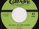 Piano Red - Big Rock Joe From Kokomo - VG++ HEAR IT Rocker