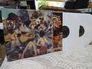 PANDA BEAR   Person Pitch   Double Vinyl LP   EXCELLENT++