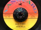 NORTHERN SOUL R&B MOD 45 Junior Wells-Shake It Baby/Stomach Ache HEAR IT