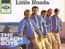 THE BEACH BOYS * When I Grow Up * deutsche Beat 45 PS Car Cover