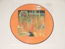 Slayer - PICTURE LP - Hell Awaits - USA 1985 - Metal Blade Records MXPD 8020