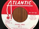 RARE MC 5 Shakin Street/The American Ruse ATLANTIC PROMO 45