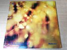EX   Steamhammer/Self Titled/1969 CBS Stereo Gatefold LP