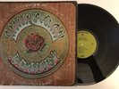 Grateful Dead - American Beauty - 1970 1st Press WS 1893 (VG+) Ultrasonic Clean