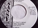 FRANK BEVERLY & THE BUTLERS   IF THAT'S WHAT YOU WANTED ** US SASSY 45 PROMO