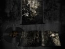 Blut Aus Nord - MoRT LP Black Metal Vinyl