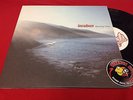 Incubus Morning View 2001 1st US Pressing Vinyl LP Piranha Records