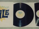 Brian Wilson Presents Smile 2 LP Record LP 180g Vinyl Rhino EX