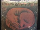 Ticket Let Sleeping Dogs Lie Lp Record Vinyl NZ Pressing Down Under Prog