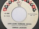 DIMPLES JACKSON 