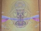 Devendra Banhart - What Will Be - original indie vinyl 2xLP - RARE OOP