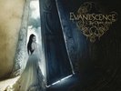 EVANESCENCE - THE OPEN DOOR (VINYL)  2 VINYL LP NEW+