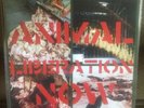 xRepentancex Sickness Of Eden LP Record Release Vegan Straight Edge Xvx Sxe