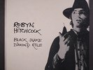 ROBYN HITCHCOCK: Black Snake Diamond Role LP (UK, inner sleeve, few faint foxin