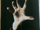 System Of A Down LP. Brand New. Never Played.