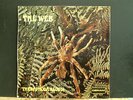 THE WEB  Theraphosa Blondi   LP  Jazz Blues Prog Rarity   COVER ONLY
