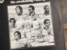 The Awakening 