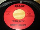 Shorty Billups Blast 220 Black cats