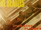 The Beatles Please Please Me Lp Record