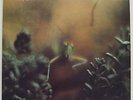 Steely Dan ?– Katy Lied/ ABC Records ?– ABCD-846