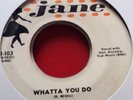Ray Willis - Whatta You Do (Rockabilly Original)