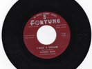 NATHANIEL MAYER - 45 - I Had A Dream