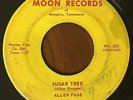 ALLEN PAGE - Sugar Tree/She's The One That's | RARE rockabilly Moon 45 G HEAR