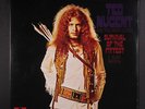 TED NUGENT & AMBOY DUKES: Survival Of The Fittest / Marriage On The Rocks  LP (