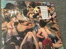 Panda Bear Person Pitch LP Vinyl Original Paw Tracks Pressing Animal Collective