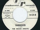 CA Surf instro Jan Davis & Ricco-Shays RENDEZ VOUS 131 Damascus / Sleepless ?
