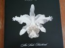 Kings Of Leon ?– Aha Shake Heartbreak -10