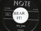 Counts DOO WOP 45 (Note 20000) Sweet Names/I Guess I Brought it All on VG++