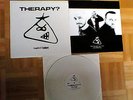 THERAPY? - Crooked Timber - Ltd. White Vinyl LP - Original 1st Press 2009 - oop
