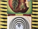 CATAPILLA - CATAPILLA VERTIGO SWIRL SPIRAL RARE PROG MONSTER PSYCH Tudor Lodge