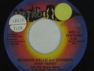 70s Soul 45 - Dink Perry & Breeze Band - Between Hello And Goodbye - Metro VG++