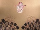 BANHART, Devendra - Smokey Rolls Down Thunder Canyon - Vinyl (gatefold 2xLP)