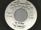 GARAGE MOD-  PRIMITIVES-w/ LOU REED - THE OSTRICH  -HEAR  -1964 PICKWICK CITY