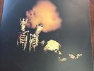 Riot Act [LP] by Pearl Jam (Vinyl, Nov-2002, Epic USA)