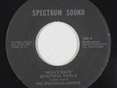 Sweet Soul/Funk 45 - Brothers Unique - Heavy Days - Spectrum Sound - mp3