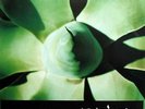 DEPECHE MODE Exciter original UK promo POSTER new rare