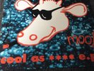 Inspiral Carpets - Cool As **** EP - Original Cow Records 12 Inch Vinyl dung9-1