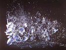 DILLINGER ESCAPE PLAN, The - Dissociation - Vinyl (2xLP)