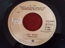 A-HA - Cry Wolf / Maybe Maybe - RARE GUATEMALA 45 EXCELLENT CONDITION