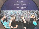 PINK FLOYD DARK SIDE OF THE MOON EARLY MIX LP  Picture Disc