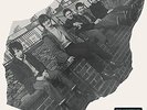 The Undertones-The Undertones  VINYL NEW