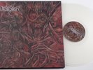 NB17	Desaster	Live in Bamberg	CLEAR VINYL 2LP   *UNPLAYED*