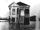 Nocturnal Poisoning ?- Doomgrass LP XASTHUR Folk - Sealed - NEW COPY