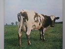 Pink Floyd - Atom Heat Mother Vinyl LP + Inner UK Press 1976 NM/NM