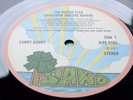 SANDY DENNY - THE NORTH STAR GRASSMAN AND THE RAVENS - 1st UK PRESS   EX EX+